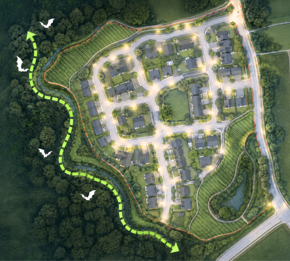 ecological lighting - bat corridor